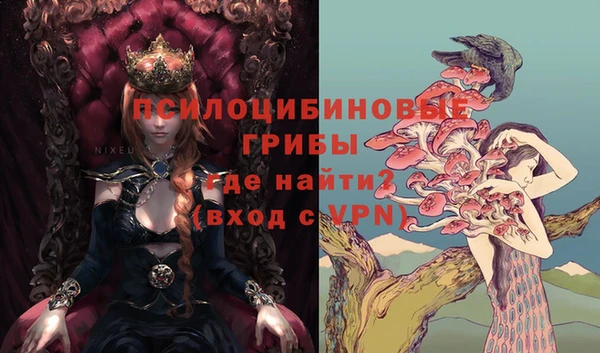 mix Горнозаводск