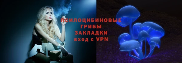 стафф Горняк