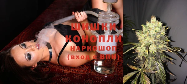 гидра Горно-Алтайск