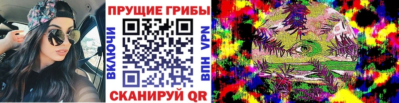 Галлюциногенные грибы GOLDEN TEACHER  купить наркоту  Демидов 